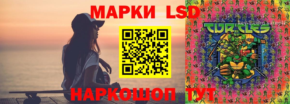 Бердск  Лсд 25 экстази ecstasy  Вход с VPN 