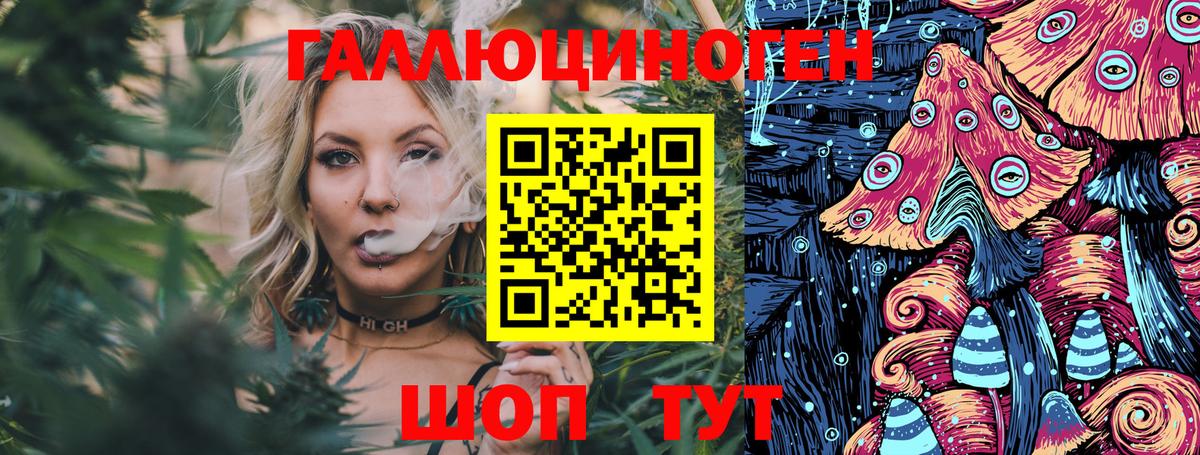 Псилоцибиновые грибы Cubensis Бердск