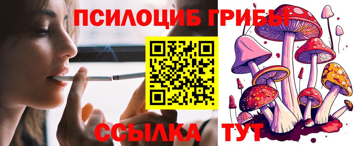 Бердск  Псилоцибиновые грибы Psilocybe  Вход с VPN 